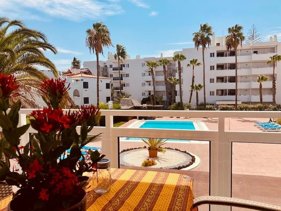 Alegranza 18 Apartment San Bartolome de Tirajana